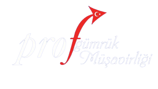 PROF GÜMRÜKLEME logo